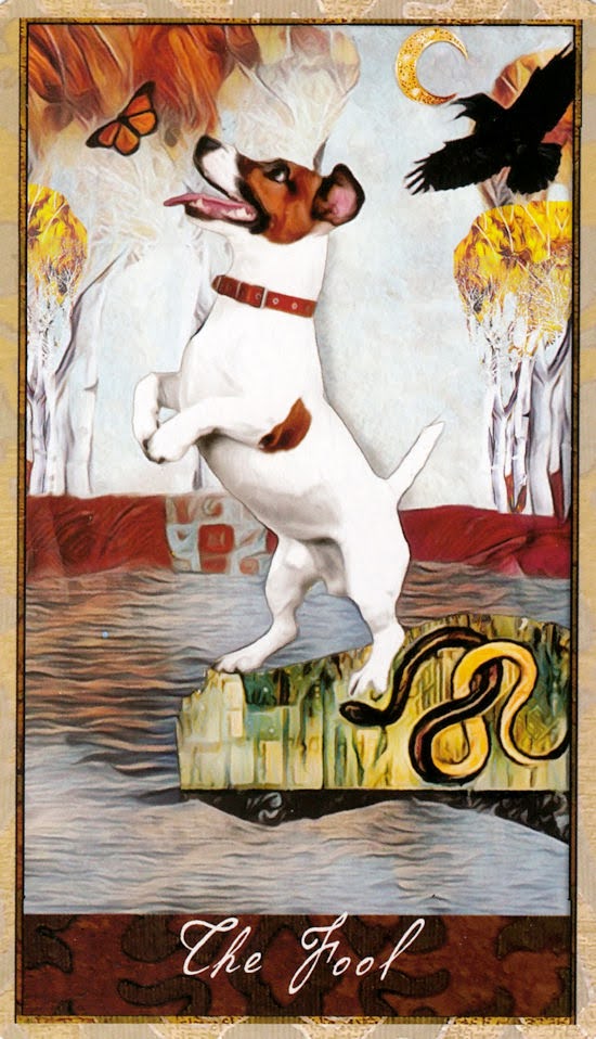 Wise Dog Tarot